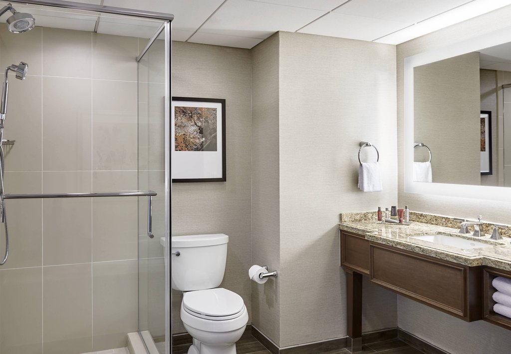 休斯顿德克萨斯医疗中心/博物馆区万豪酒店&度假村