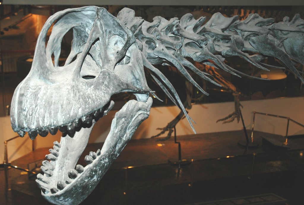 凤凰城迈措沃市德尔塔酒店