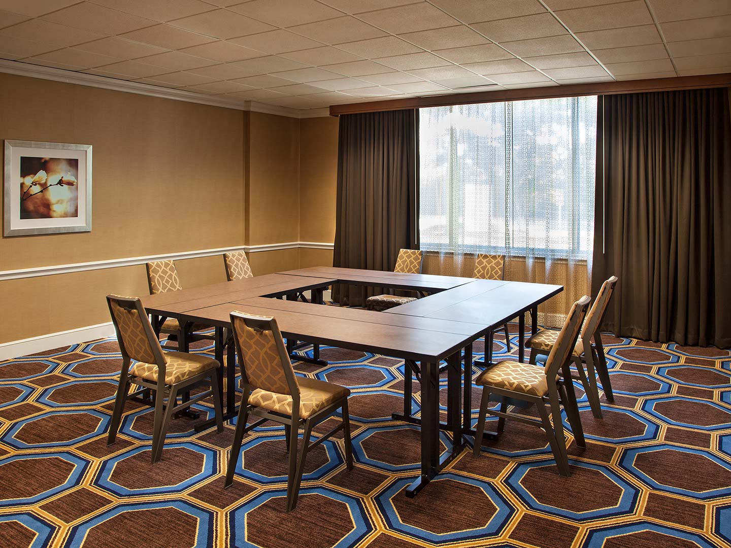 奇夫利休斯顿希尔顿启缤精选酒店