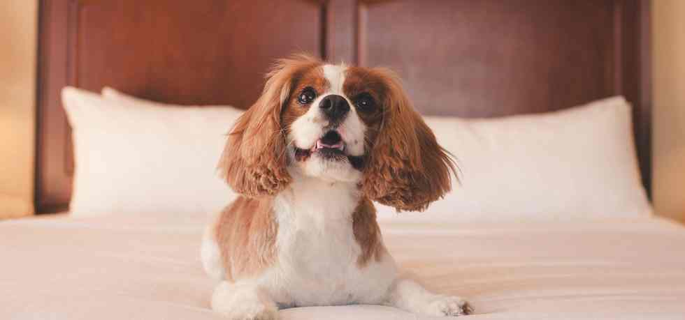 费尔蒙华盛顿特区酒店