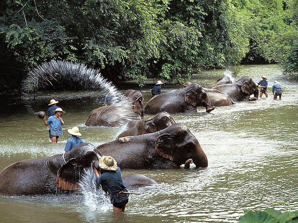 清迈美憬阁索菲特沃伦塔高级度假村