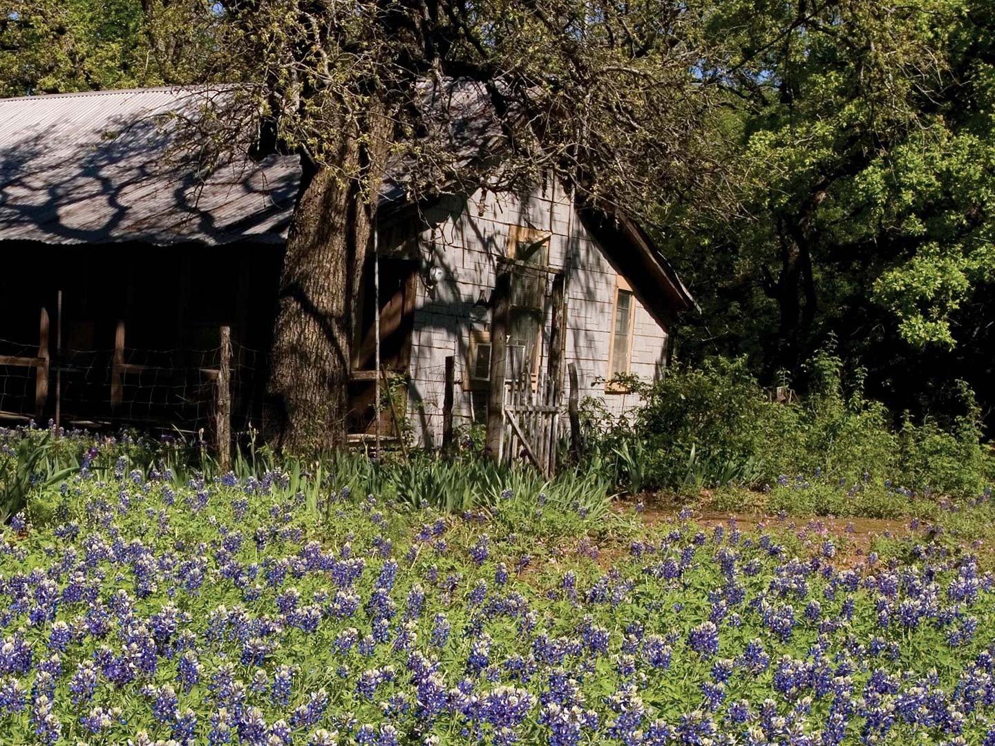 喜来登沃斯堡市城市中心酒店