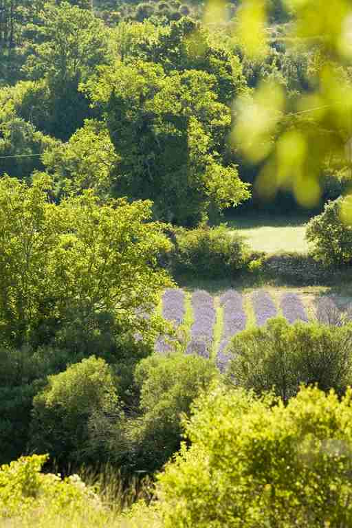 卡普隆格地区酒店