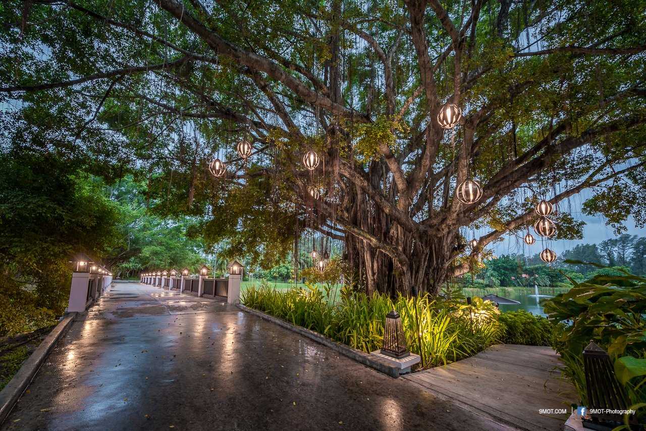 普吉悦榕庄酒店预订及价格查询,Banyan Tree Phuket_八大洲旅游