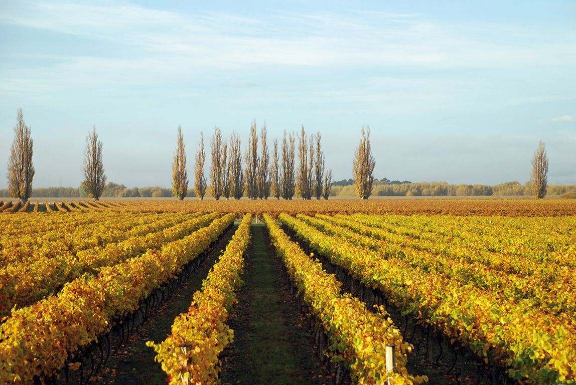 霍克斯湾拐子角瑰丽酒店