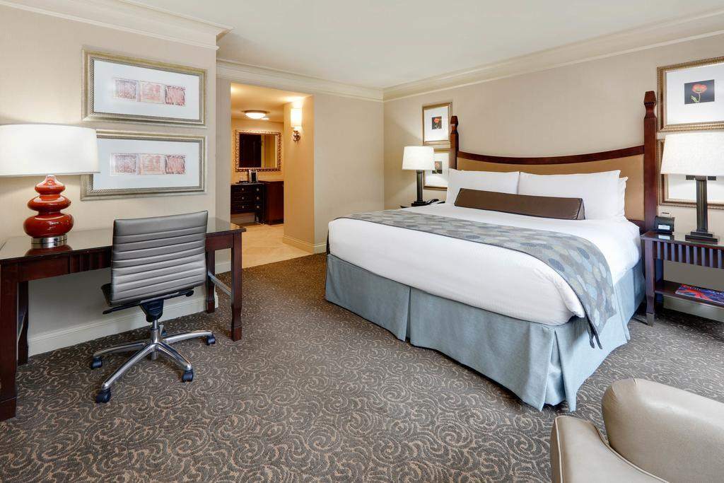 芝加哥皇家索内斯塔市中心酒店