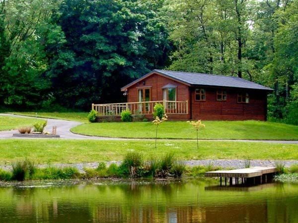 纳伯斯小树林酒店