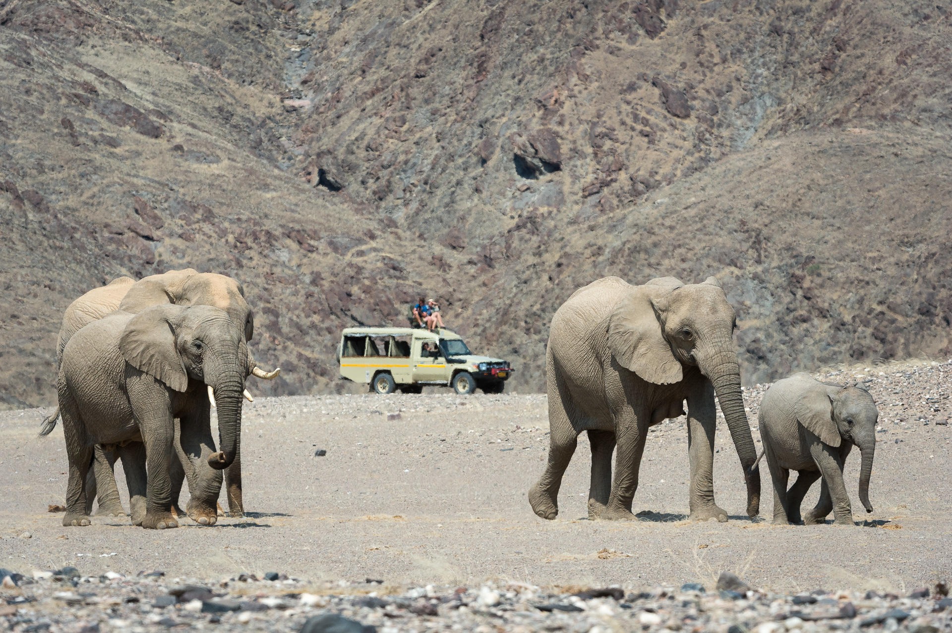 Wilderness Hoanib Skeleton Coast Camp预订及价格查询,Wilderness Hoanib Skeleton ...